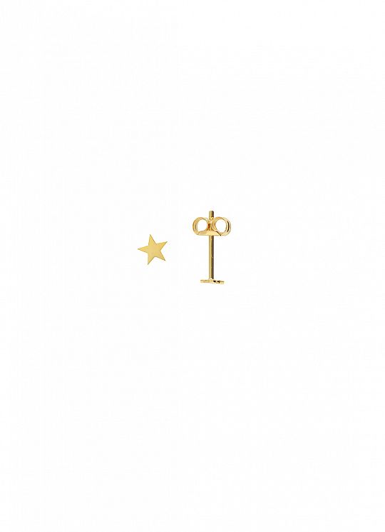 mini-star-studs-14k-goud-1614945549.jpg